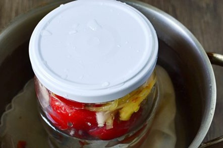 Jar povrća