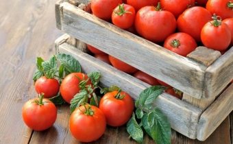 tomato stimulator