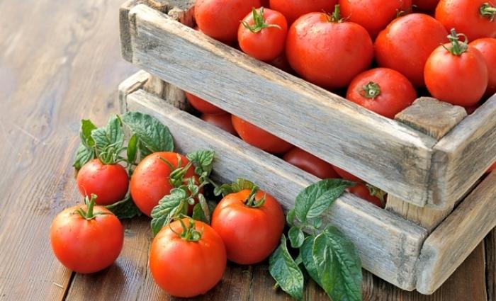 tomato stimulator