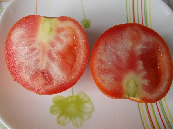 tomatoes