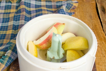 peel and chop the apples