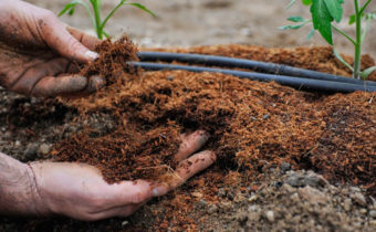 soil acidity