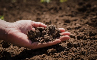 Soil acidity