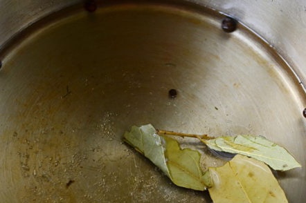 cook pickle