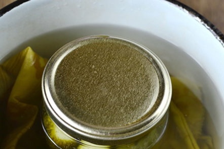 sterilize