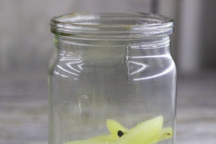 peppers in a jar