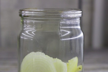 onions in a can