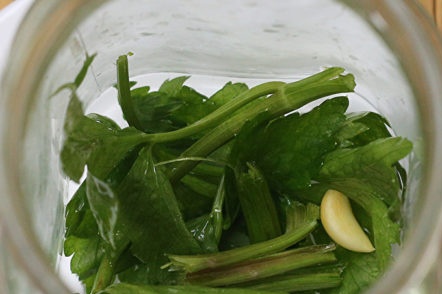 celery in a jar
