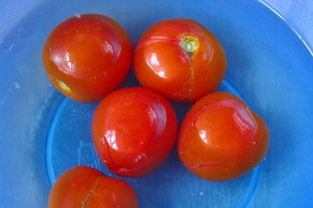 prepare tomatoes