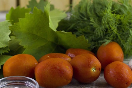 tomatoes