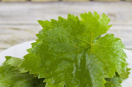 grape leaves