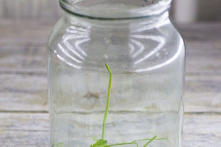 spices in a jar