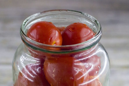 we put tomatoes