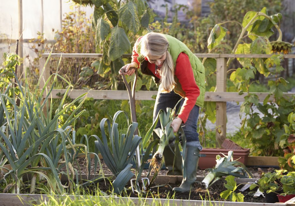 work in the garden