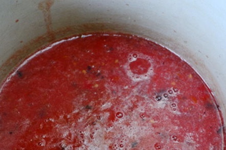 put the tomatoes in the pan