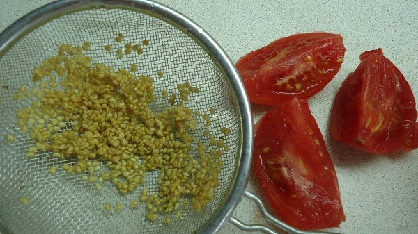 seed collection