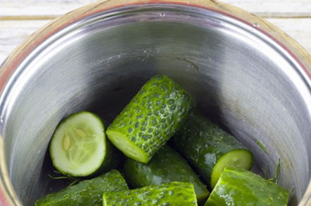cucumbers in the pan