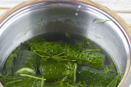 pour brine