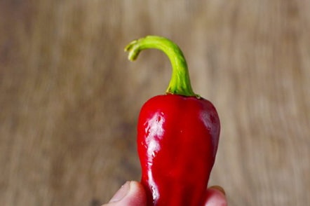 add hot pepper