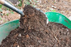 We put compost