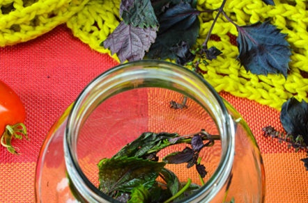basil in a jar