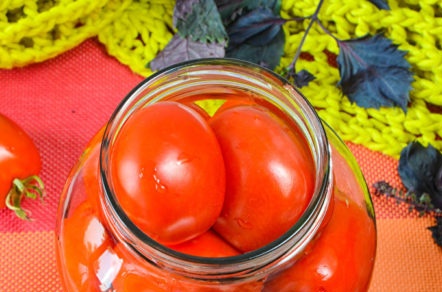tomatoes in the bank