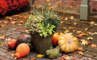 garden work in october