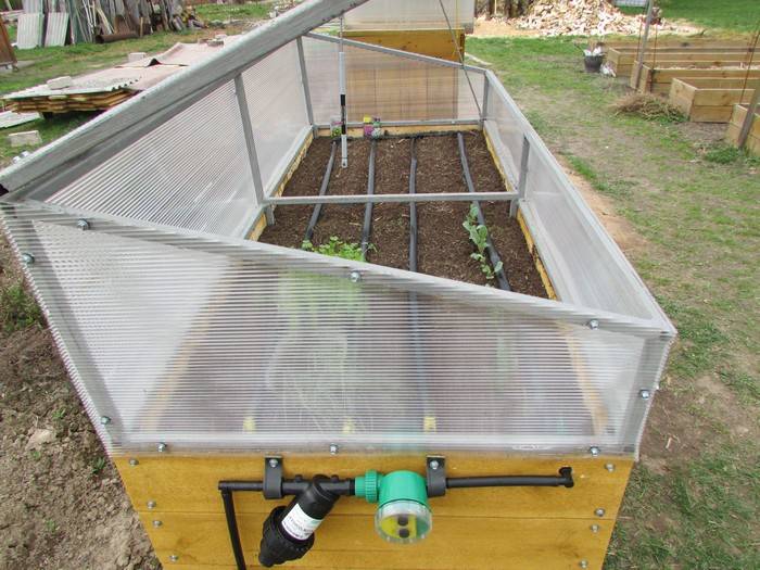 Nursery-composting Medvedev