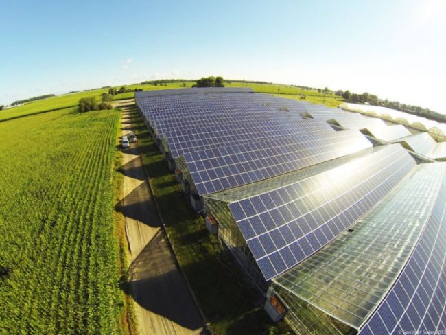 solar panels