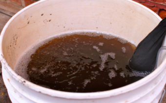 fertilizer