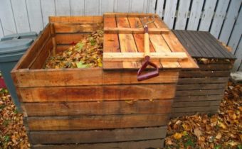compost pit