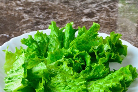 cut salad