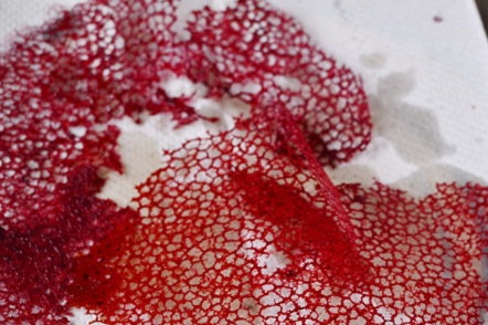 dried on paper