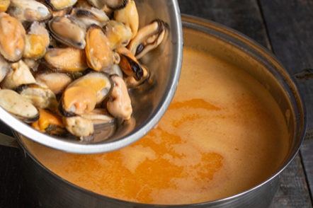 add mussels