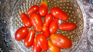 Pickling delicacy