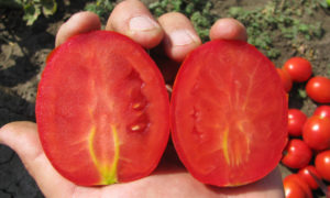 Pietra Rossa