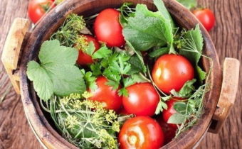 Tomato varieties