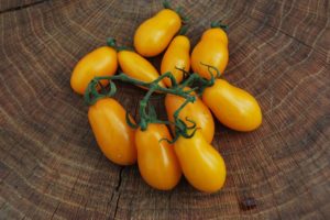 Yellow date