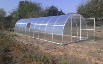 greenhouse uralochka