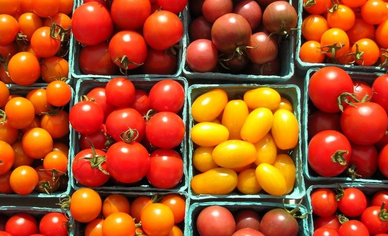 the sweetest tomato varieties