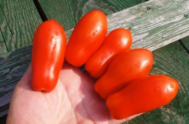 sweet fingers