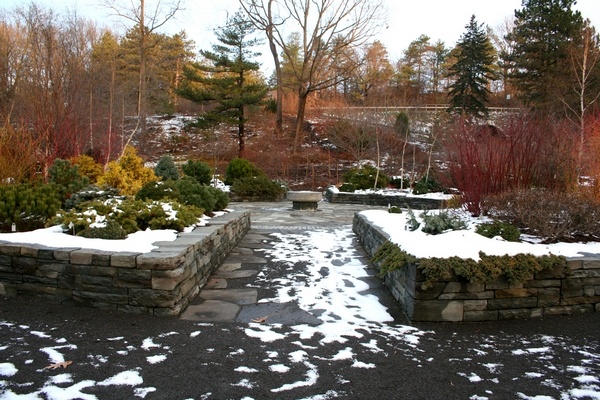 garden in February
