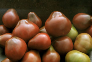 Black pear