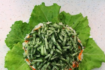 sloj krastavaca