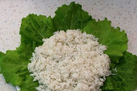 sloj riže