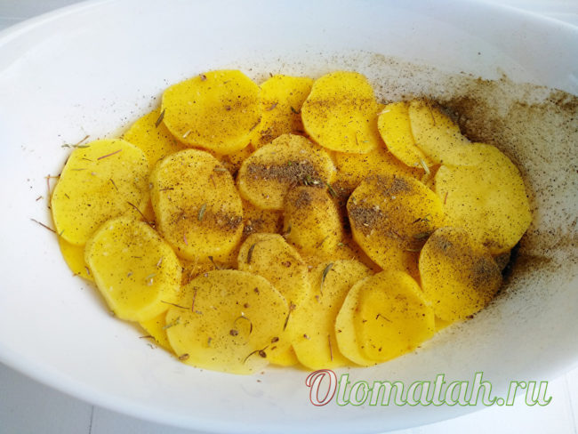 začini