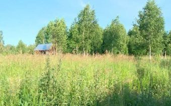 land plot