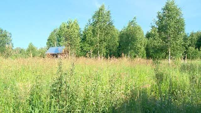 land plot