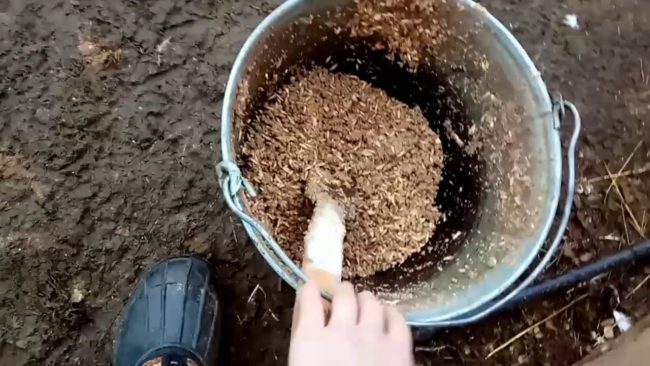 za krevete sa gljivama