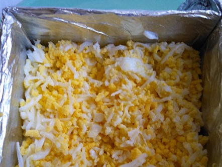 egg layer